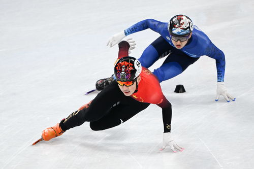 短道速滑 男子500米预赛赛况