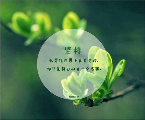 听风名言  心情好又暖的句子八字？