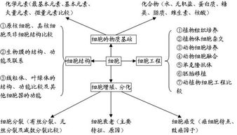 高中生物知识结构图全汇总 一目了然,简直太棒了 收藏 