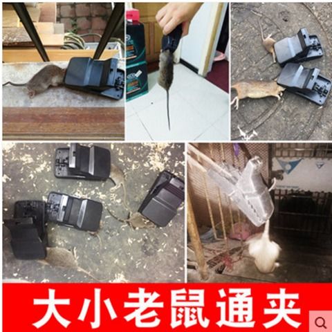 捕鼠器的环保材料选择在可持续建筑中的原则有哪些？