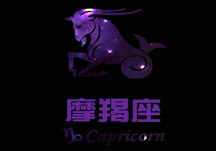 12星座一人一句 摩羯万王之王,射手充满不安 