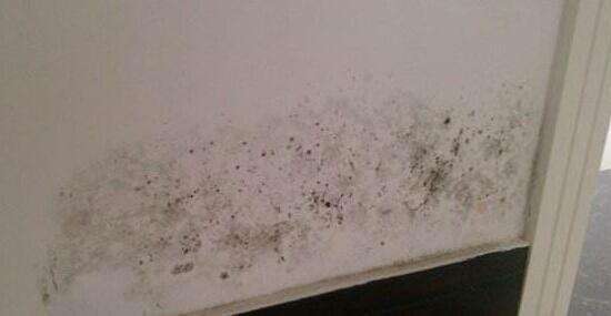 墙面出现潮湿的痕迹该如何如何处理 怎样清除墙面的霉斑呢