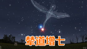 天上的 厂 字是什么星 像勺子的星除了北斗七星,还有哪些