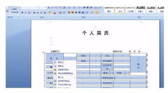 怎样用word制作个人简历 