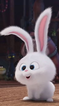 这个兔子是什么动画片里的啊 