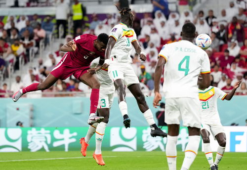 2022卡塔尔世界杯球队实力排行榜(瑞士和塞内加尔世界杯)
