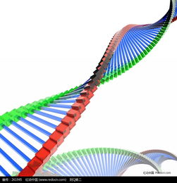 生物DNA双螺旋结构模型图片