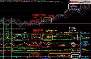 关于通达信的散户线