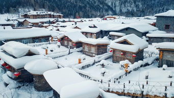 最不像跟团的东北旅行团 哈尔滨雪乡 吉林长白山7日游