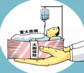 河北大病医保申请条件(河北省职工大病医疗保险实施细则)