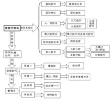 数字推理4 整体思路 如何猜答案