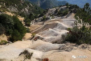 10月2 5日天台 苍南登山观海露营自驾四日游