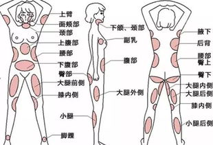 减掉10公斤脂肪,到底需要多久