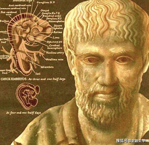 亚里士多德很有智慧的名言,指出了人类需要的知识有三,多则无用