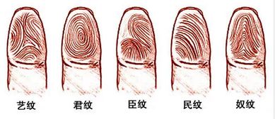 一斗穷二斗富,三斗四斗卖豆腐...指纹有几个斗看你今生财运 很准 