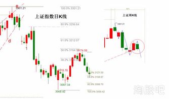 公司发行股票需什么条件