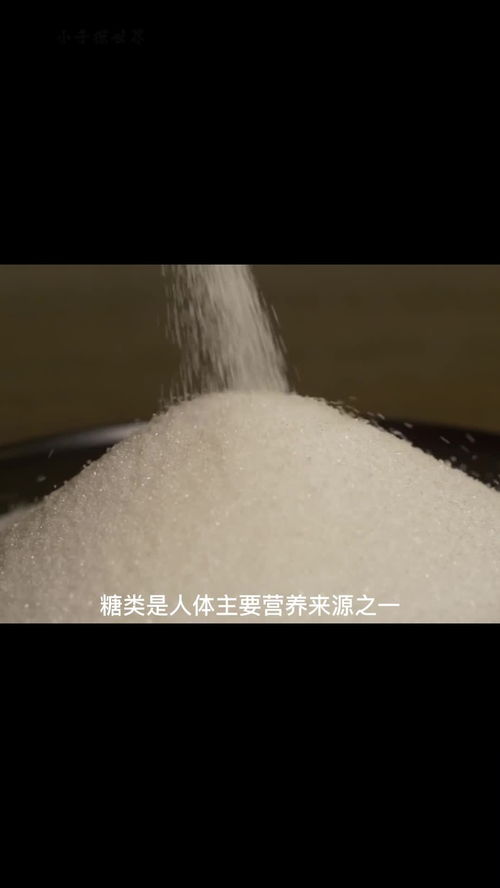 白砂糖是怎么制造的 1分钟了解白砂糖制作过程 