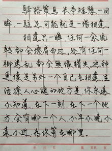 摘抄练习钢笔字 