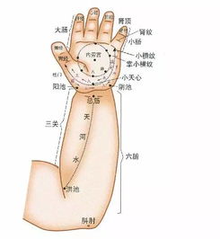 宝宝胃口差老生病怎么办 河南推拿泰斗高爷爷教你推拿这5个穴