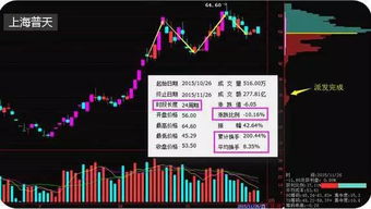 对于刚接触股市的新手来说最需要学习的基本知识是什么