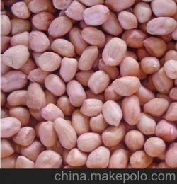 花生米批发价格 豆类作物 