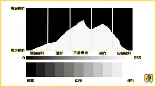 图片与视频相关冷知识