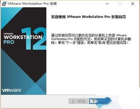 win10安装VMware善退