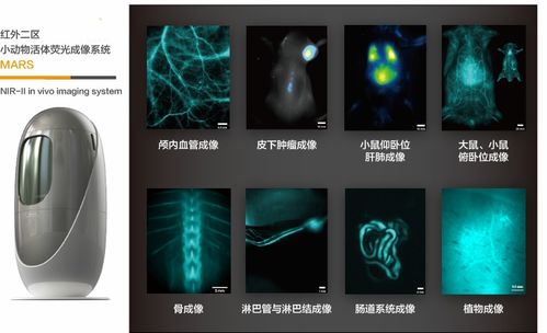 红外成像制冷技术：突破可见光限制