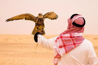 在沙特,有钱人的旅行究竟有多朴实无华且枯燥