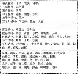 初二生物上册知识点总结归纳