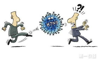 感染h7n9禽流感 H7N9型禽流感的感染情况