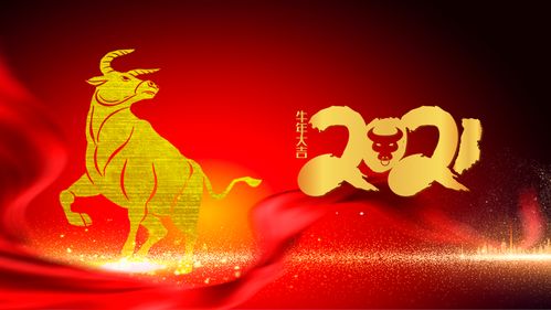 2021辛丑牛年生肖运 杨清华老师腾讯访谈