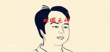 五种不能嫁的男人面相,胸无大志,不顾家,自己挣钱自己花 眉棱骨 