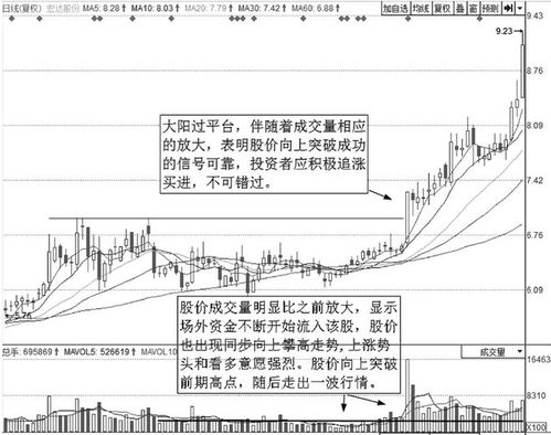 证券市场的种类不包括（）。