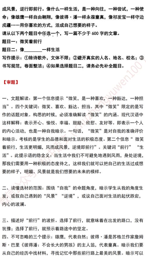 作文提纲励志的人;2021语文高考甲卷作文提纲？