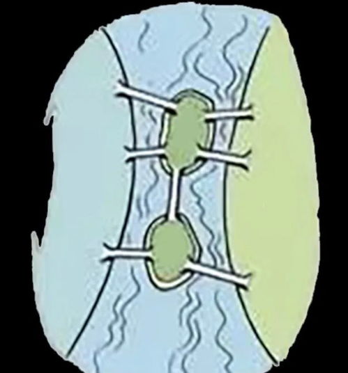 顶级数学家有多 疯 数学的深渊,普通人只能在水上飘着