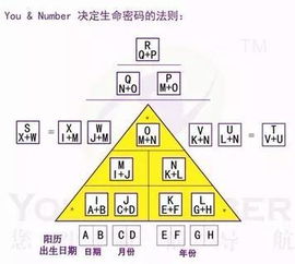 易号堂 生日告诉你什么 生命密码,了解自己了解他