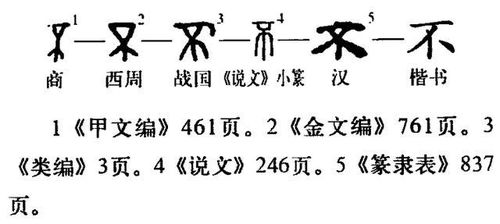 甲 骨 文 商 字 考 释