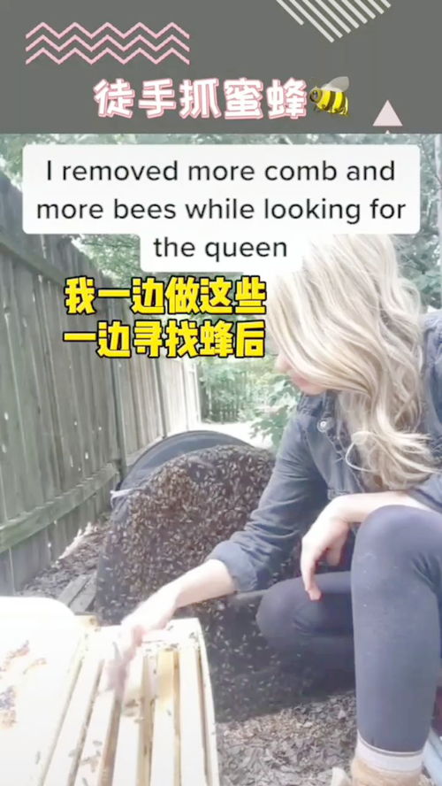 美国得州一名女养蜂人,无防护徒手抓蜜蜂高手在民间 