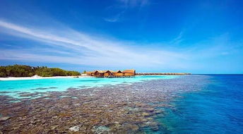马尔代夫5星酒店浮潜岛一次绝美的海底探险之旅（马尔代夫 海底酒店）