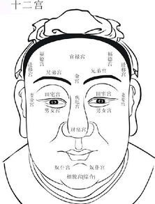 面相的十二宫部位图详解