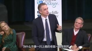 Peterson;jordan peterson