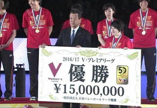 美国女子围棋赛*奖金〖首届世界智力精英运动会奖牌分布〗