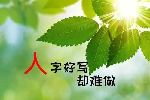 只要你愿意努力,总有一天,属于你的幸福会来敲门