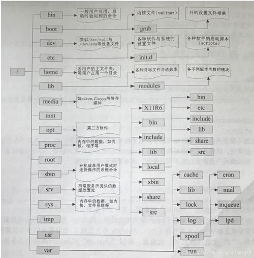 目录树是什么意思(未在路径的目录树中找到父目录)