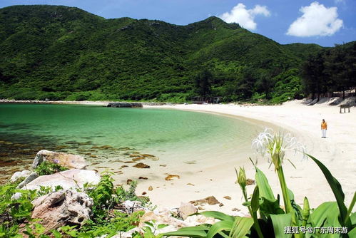 惠东南丫岛 自助火锅 烧烤BBQ 海鲜窑鸡餐 海上日出晚霞 共赴一场海岛盛宴