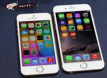 iPhone 6和iPhone 6 Plus 的对比情况是怎么样的？