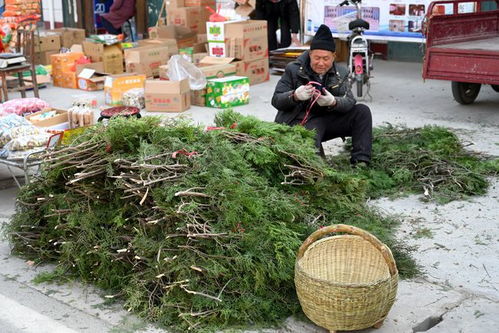 春节集市人声鼎沸热闹依旧,乡情浓郁处,唯有一个镜头与往年不同