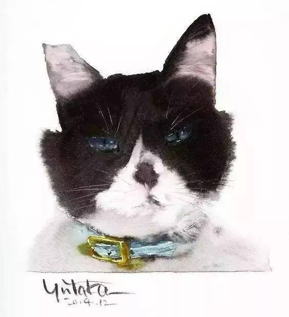 把猫画得很出彩的日本水彩艺术家