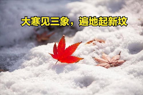 2023你好图片带字优美文案说说句子(雪天天气提醒文案图片带字)